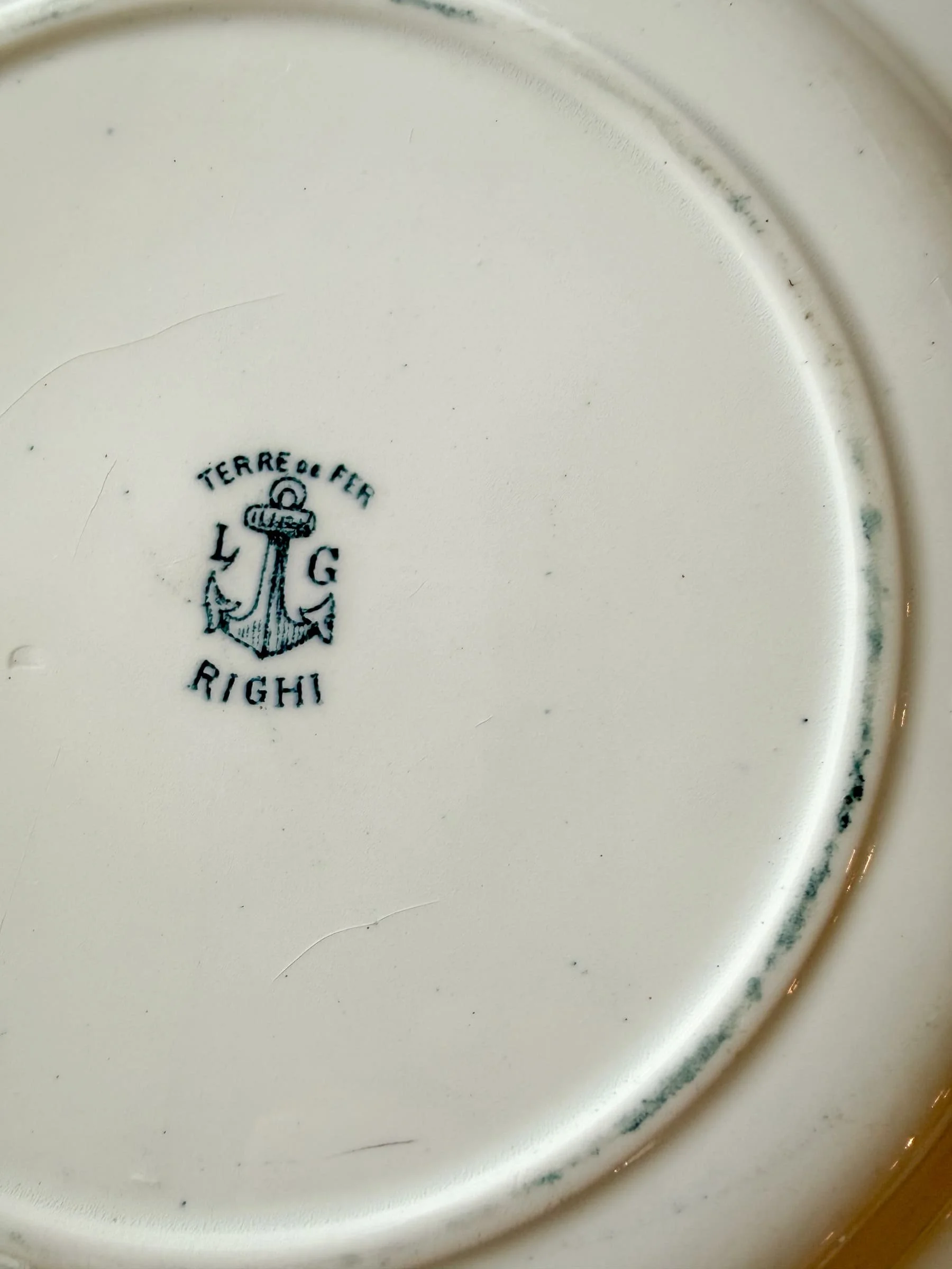 19th Century Antique French Ironstone Blue Floral Terre de Fer Plates